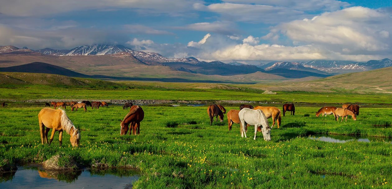 Babusar Top landscape in Pakistan